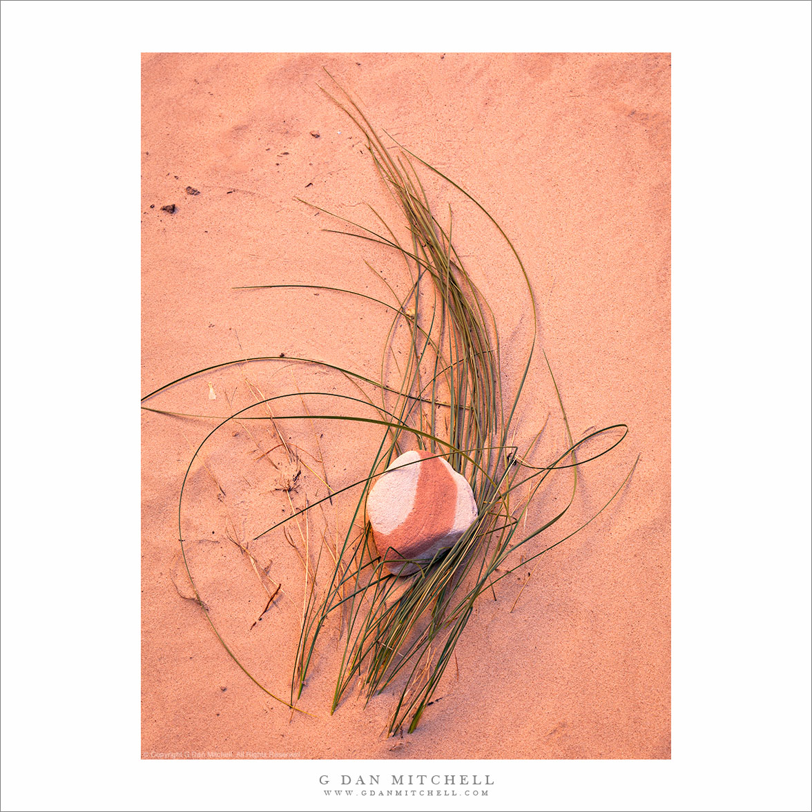 Striped Rock, Grass, and Sand