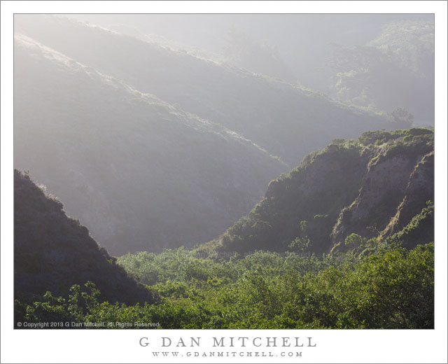 Coastal Valley, Morning Light