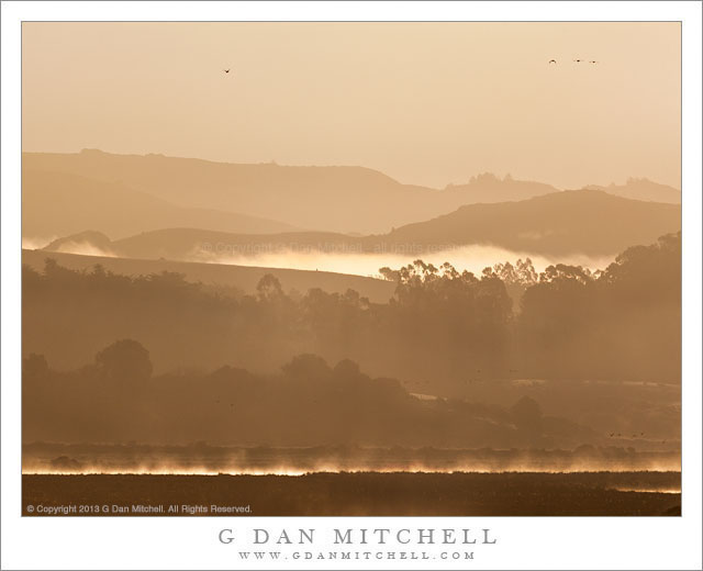 Tomales Bay Hills, Morning