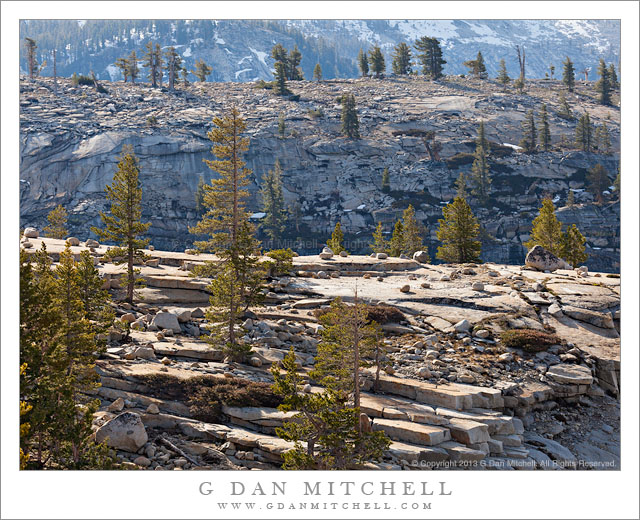 Granite and Trees, Morning