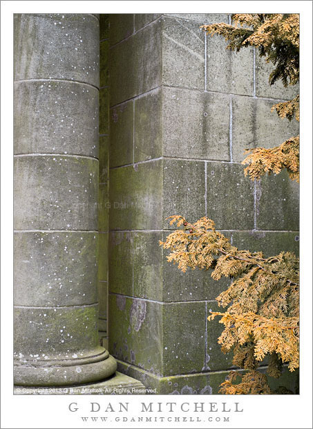 Column, Wall, and Dying Tree