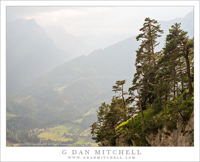 Cliff-Edge Forest Above Werfen