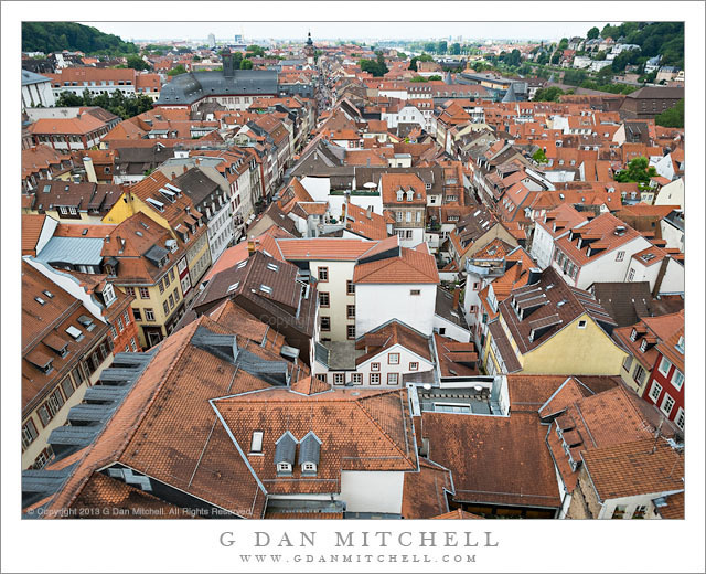 Roofs of Heidelberg