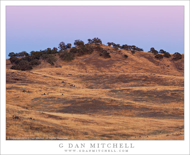 Dusk, Earth-Shadow, Oaks and Grass