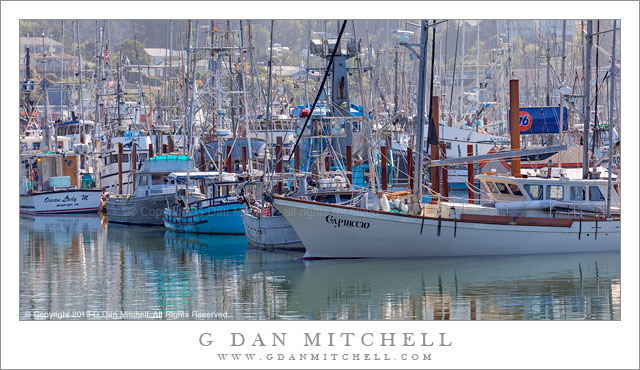 Boats, Yaquina Bay Harbor