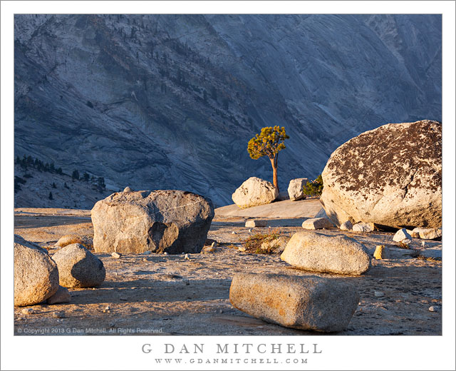 Boulders, Tree, and Dark Granite