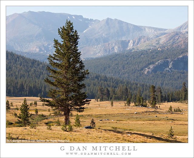 Dana Meadow, Kuna Crest