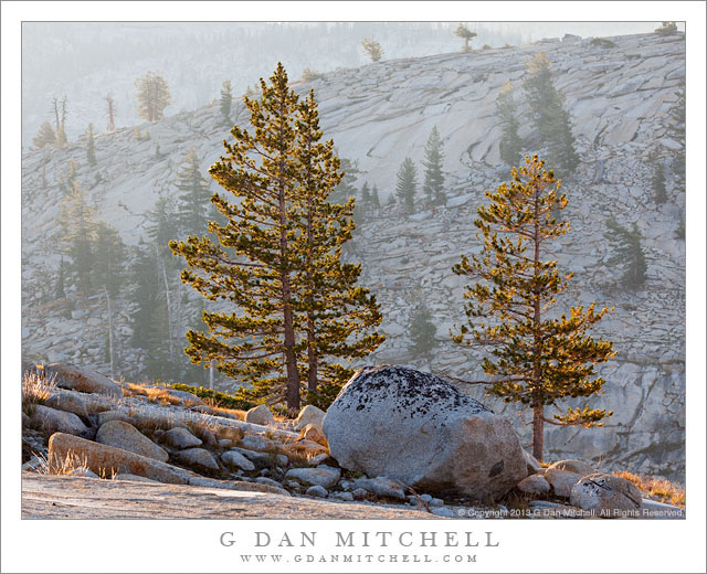 Trees and Boulder, Morning