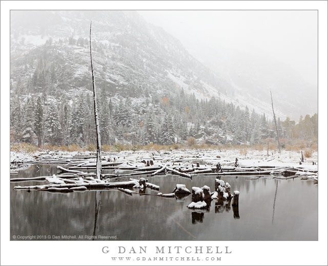 Beaver Pond, Early Snow