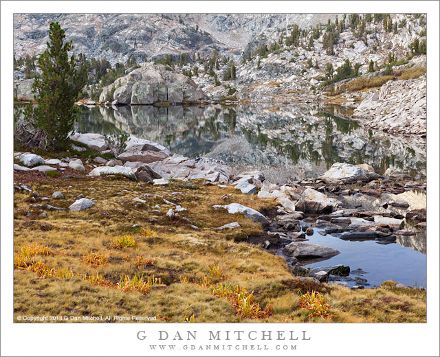 Shoreline Meadow, Unnamed Lake