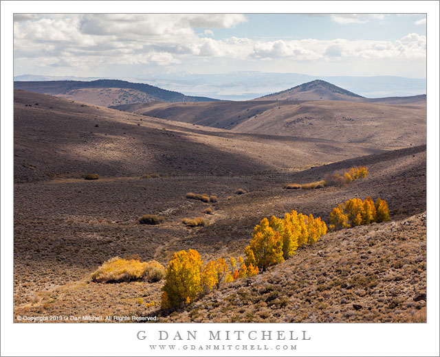 Sagebrush and Aspens