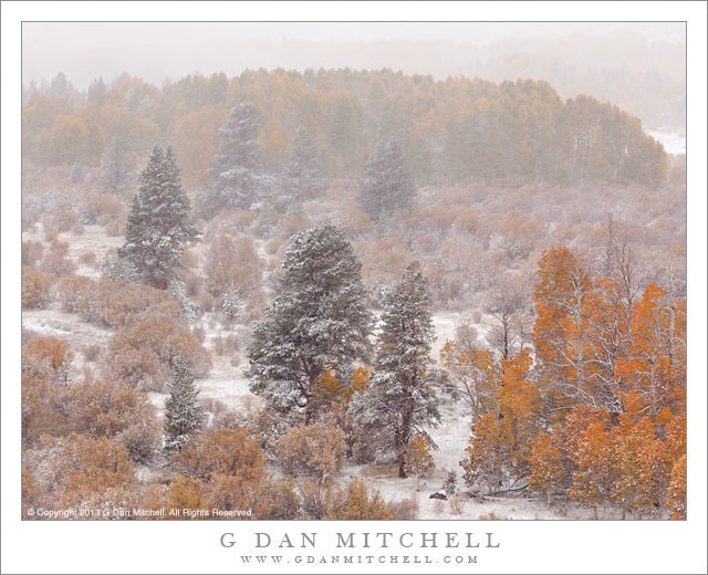 Early Autumn Snow, Eastern Sierra