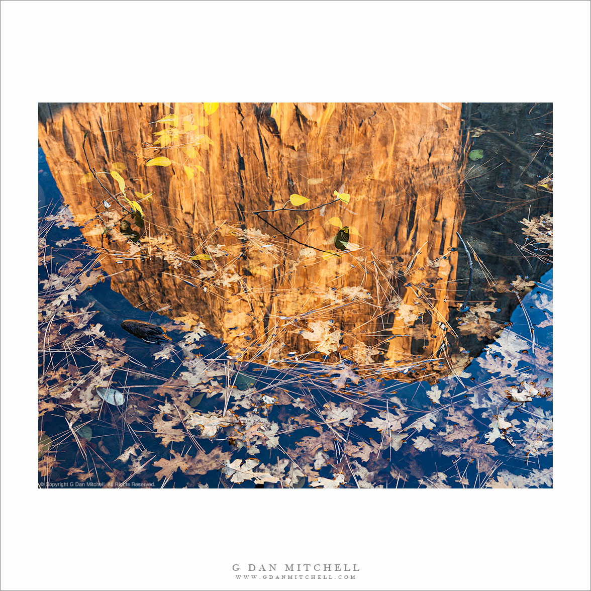 Autumn Leaves, Reflection of a Monolith