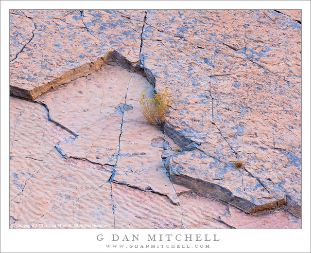 Canyon Wall in Reflected Light