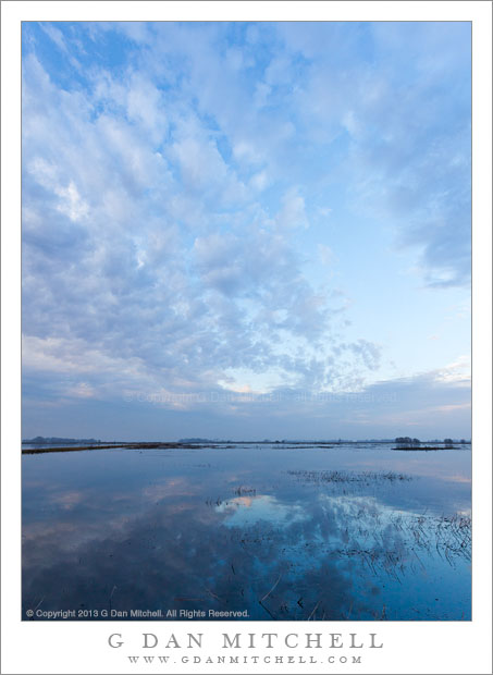 Wetlands and Evening Sky