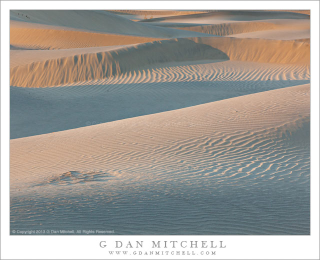 Dune Forms, Evening