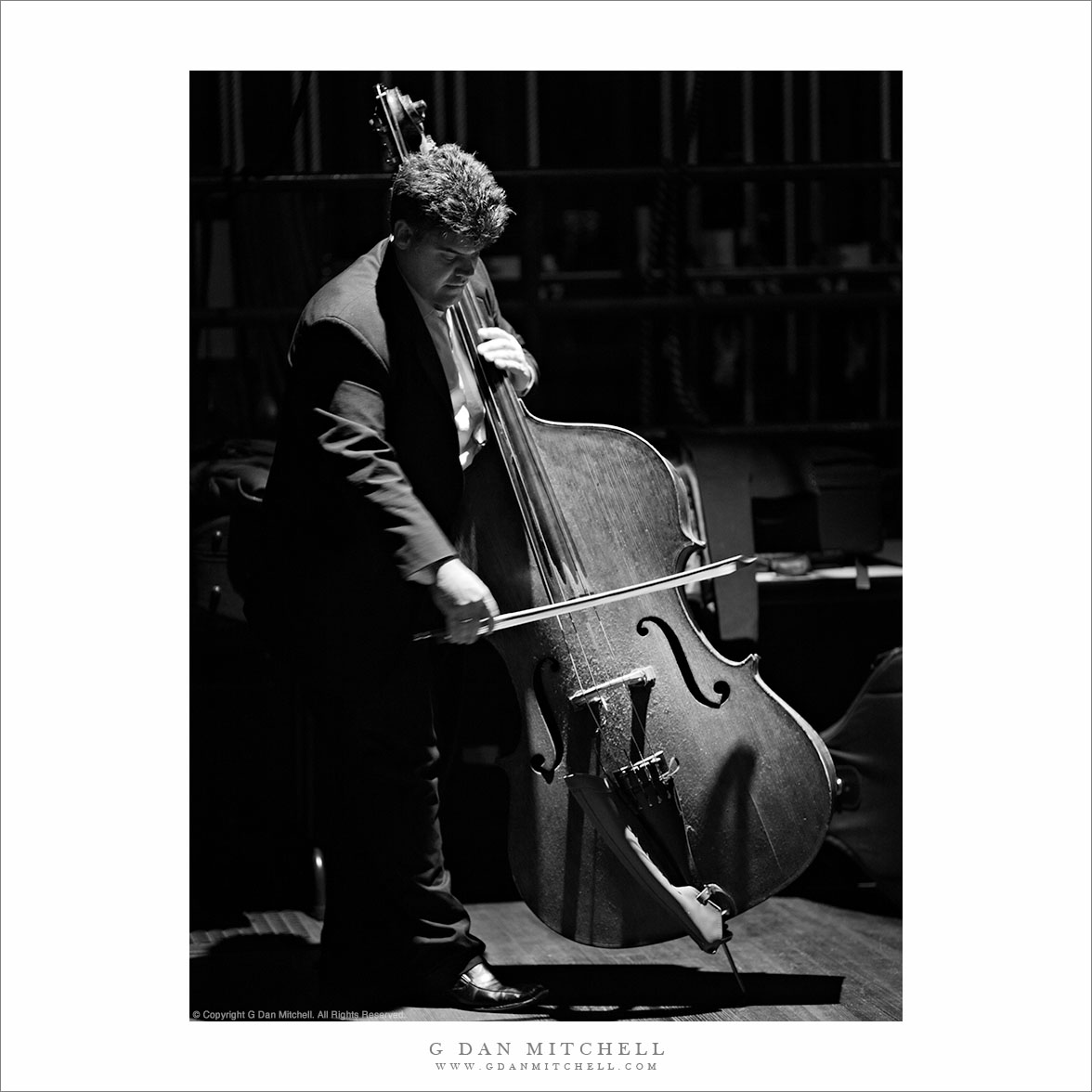 Bassist Bill Everett