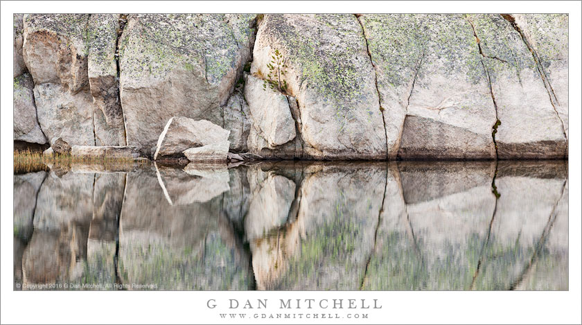 Granite, Water, and Tree