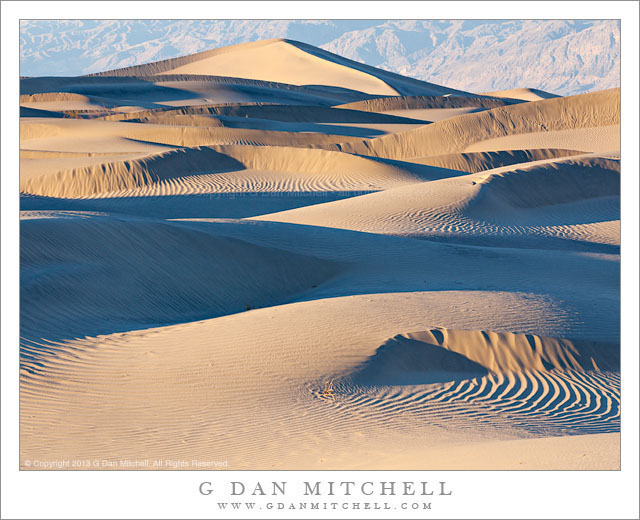 Dunes, Evening