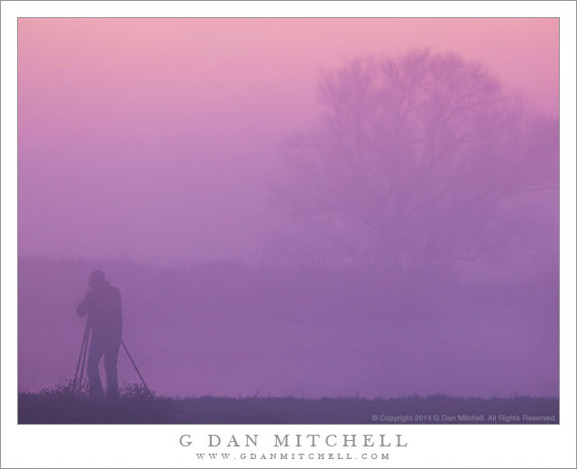 Photographer, Fog