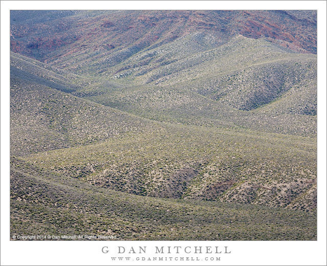 Panamint Mountains, Spring