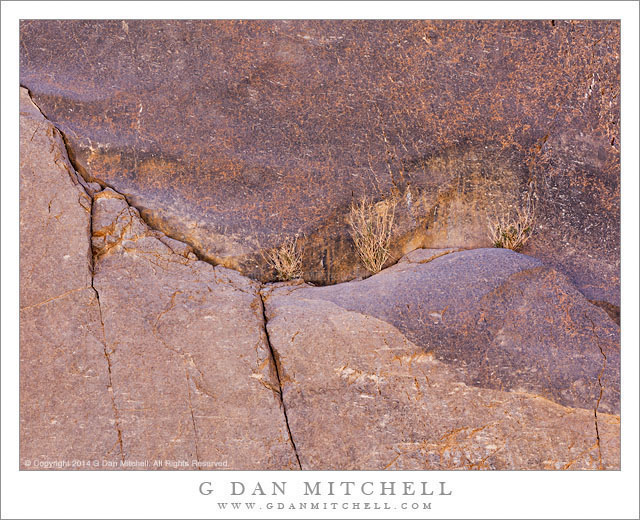 Curves, Desert Canyon