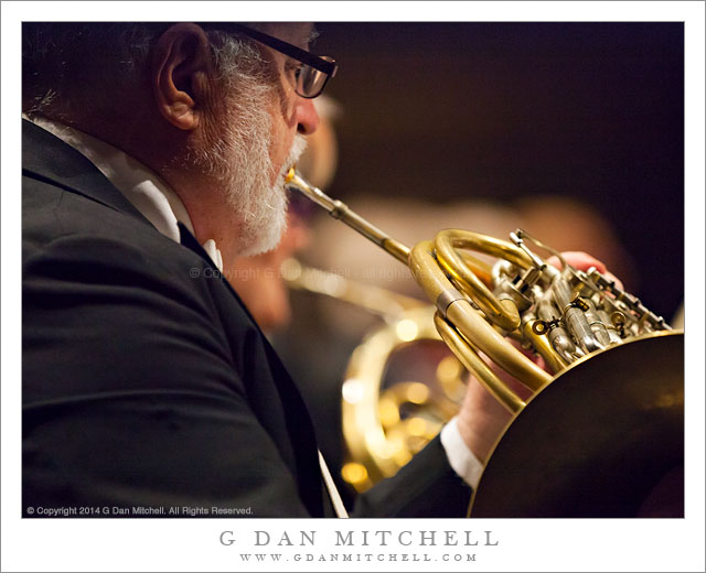 Wendell Rider, French Horn