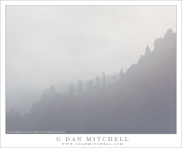 Ridgeline, Trees, Winter Fog