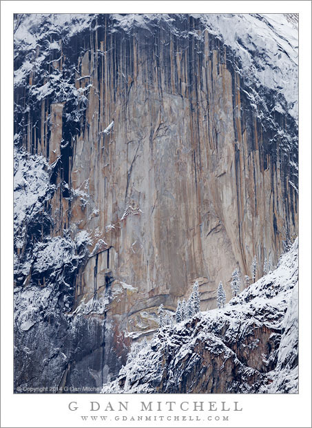 Monolith, Trees, and New Snow