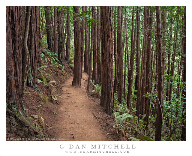 Ocean View Trail