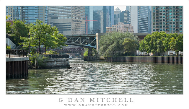 North Chicago River