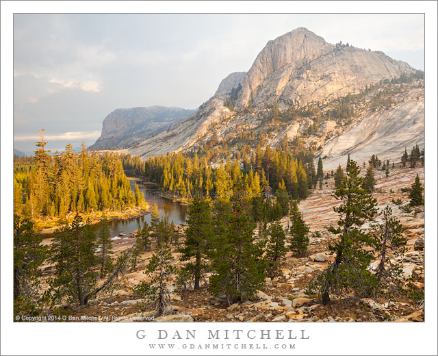 Morning Light, Forest and Granite