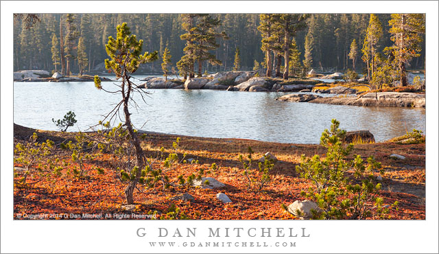 Lake Shore, Autumn Bilberry