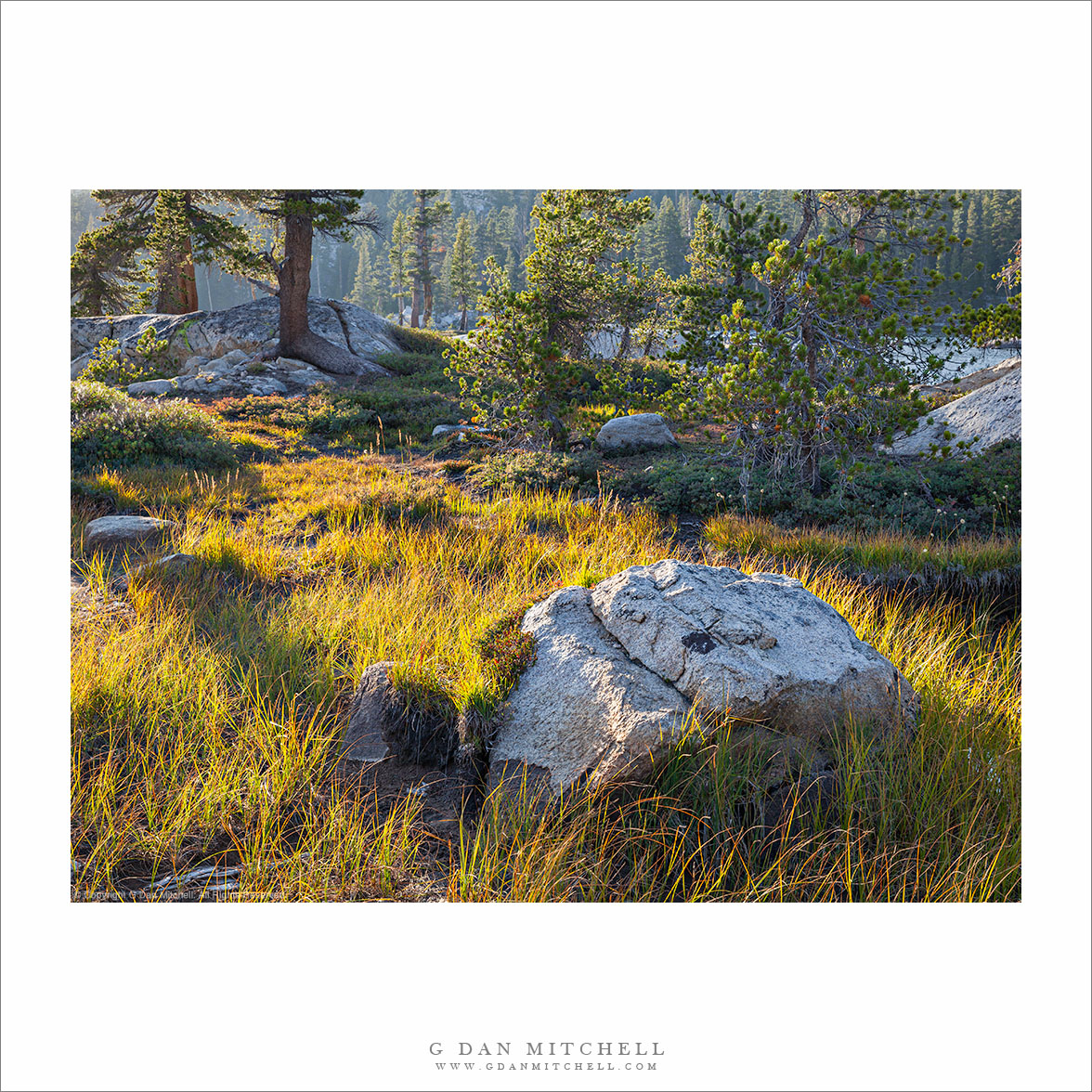 Shoreline Boulder and Meadow, Subalpine Lake