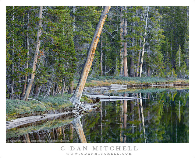 Quiet Shoreline, Morning