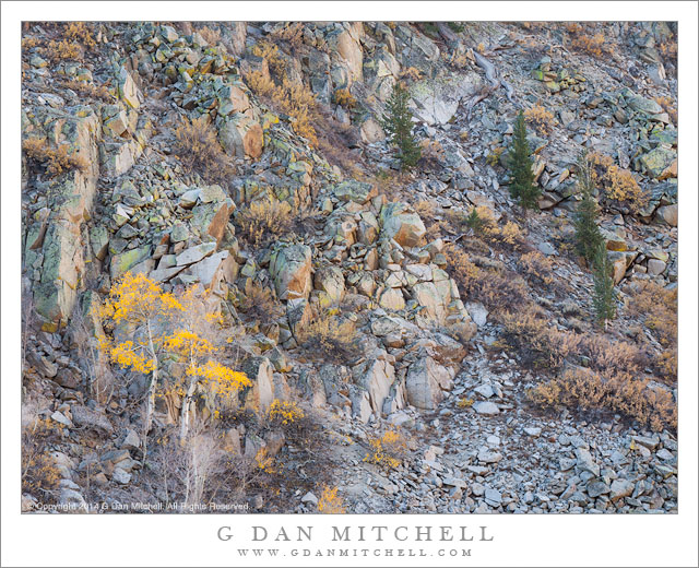 Rocky Slope, Autumn Foliage