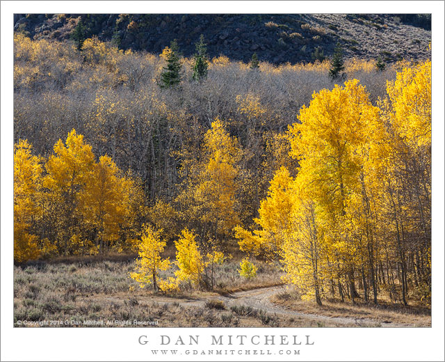 Aspen Grove and Country Road