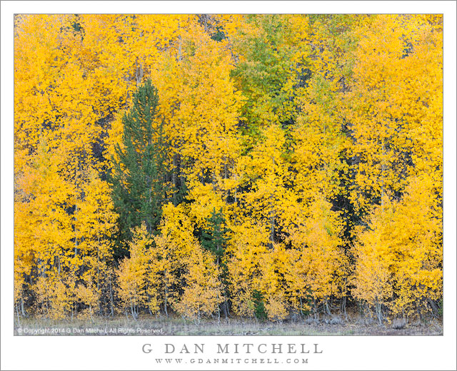 Wall of Color, Hope Valley