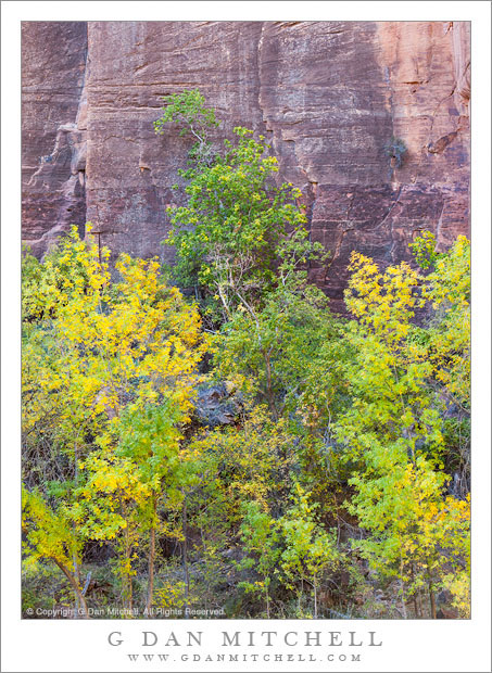 Autumn Color and Sandstone Cliff