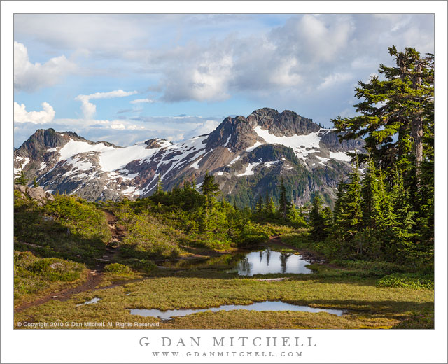 Alpine Meadow, Artist Point