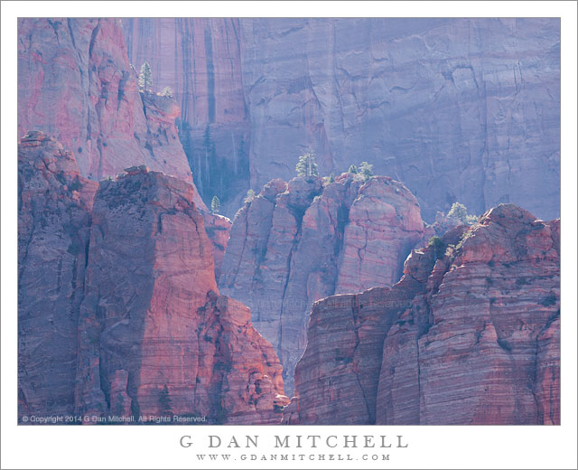 Cliffs, Trees, and Morning Light