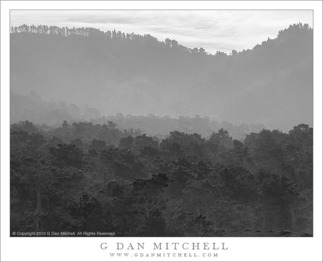 Forest, Ridge, and Haze