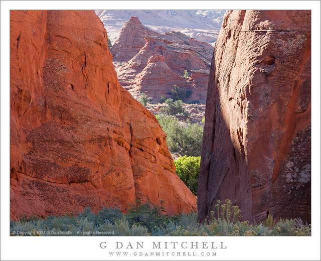 Canyon, Reflected Light