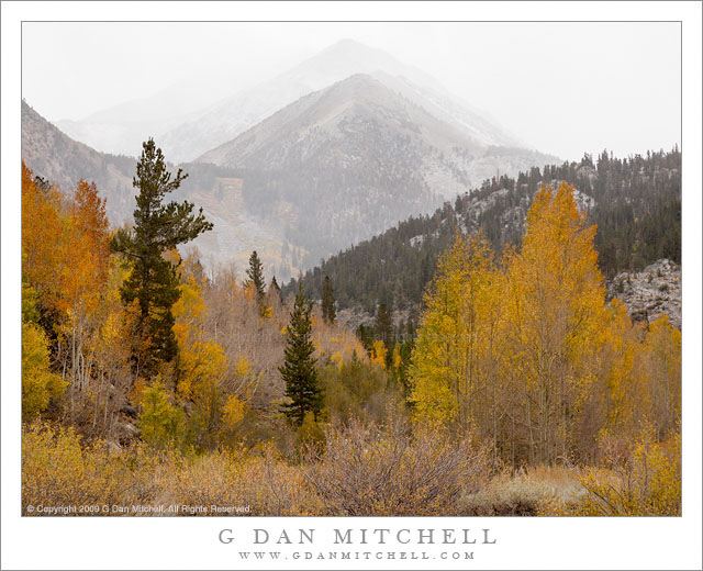 Snow Flurries, Bishop Creek