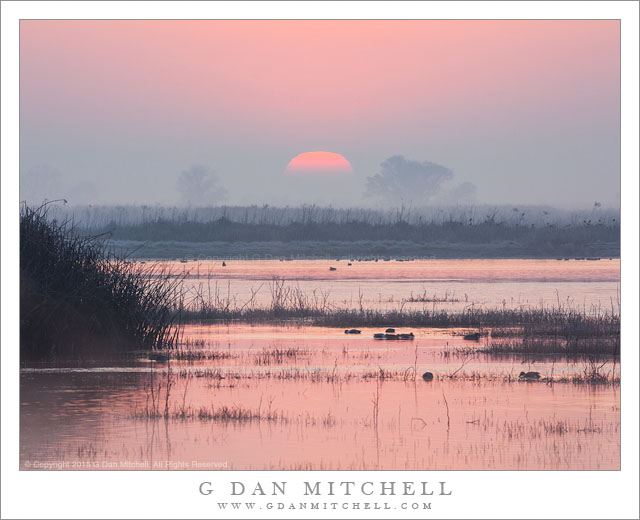 Wetlands Sunrise, Winter