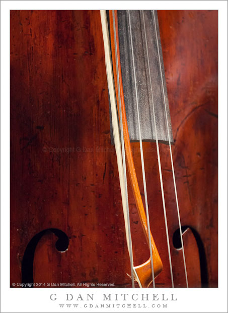 Cello Detail