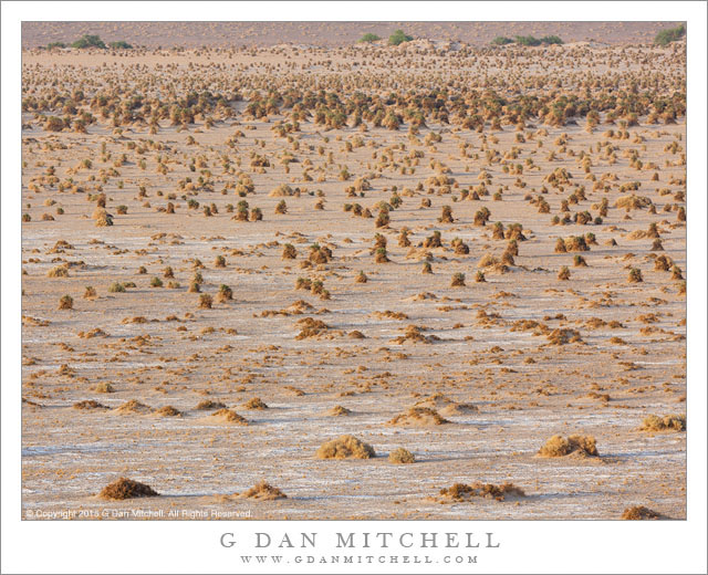 Devil's Cornfield, Evening