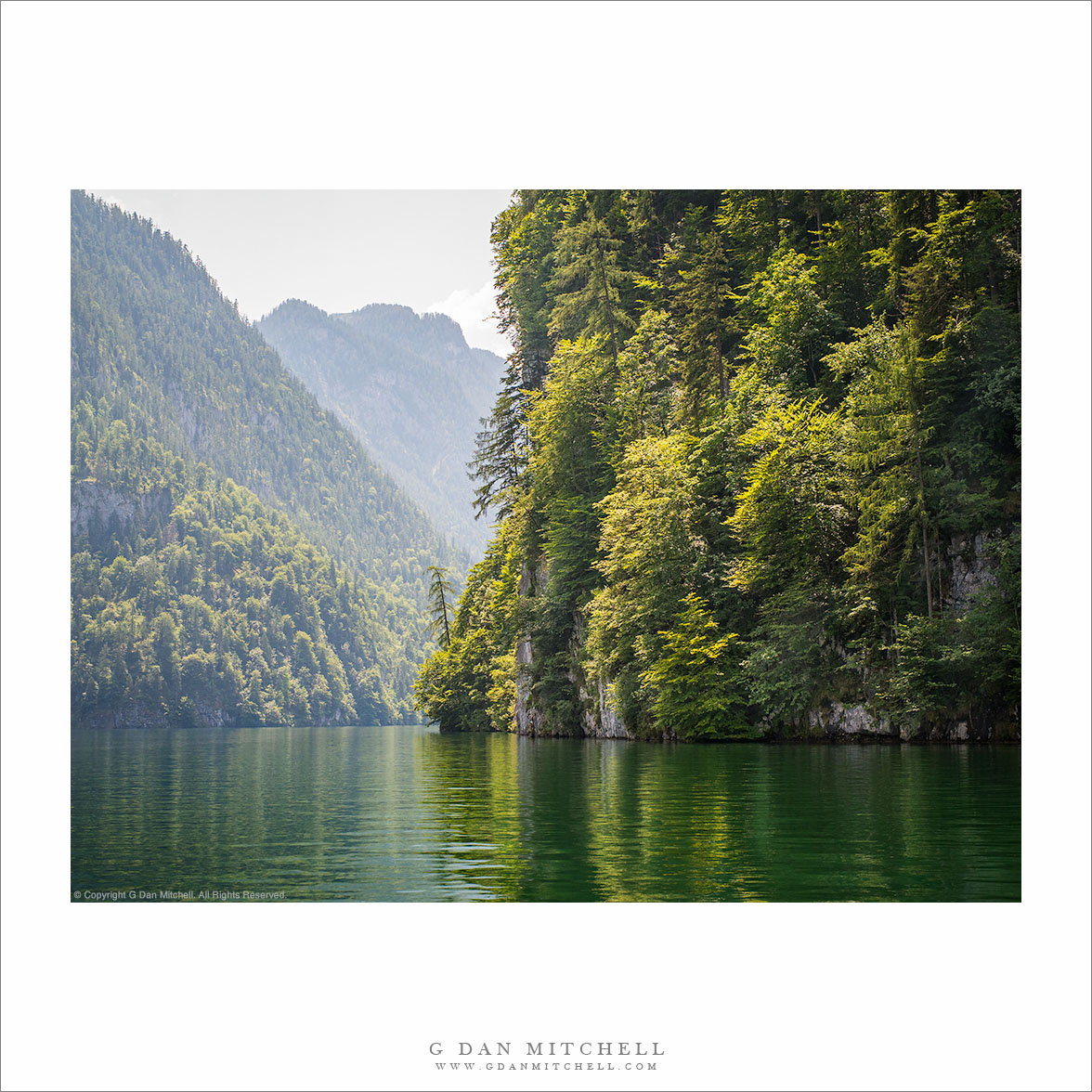 Forested Cliffs, Königsee