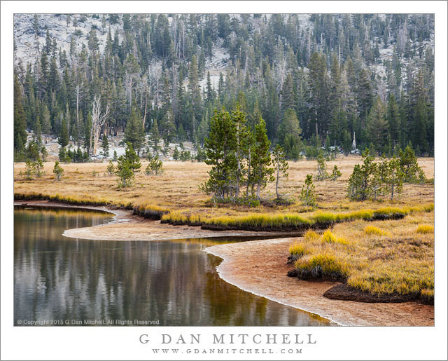 Shoreline and Meadow