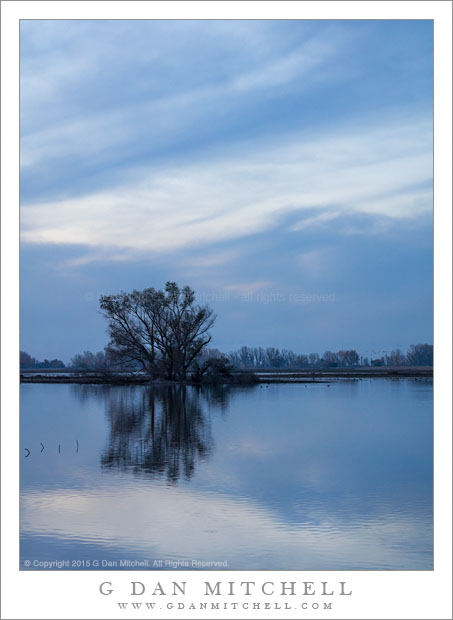 Blue Hour, Wetlands